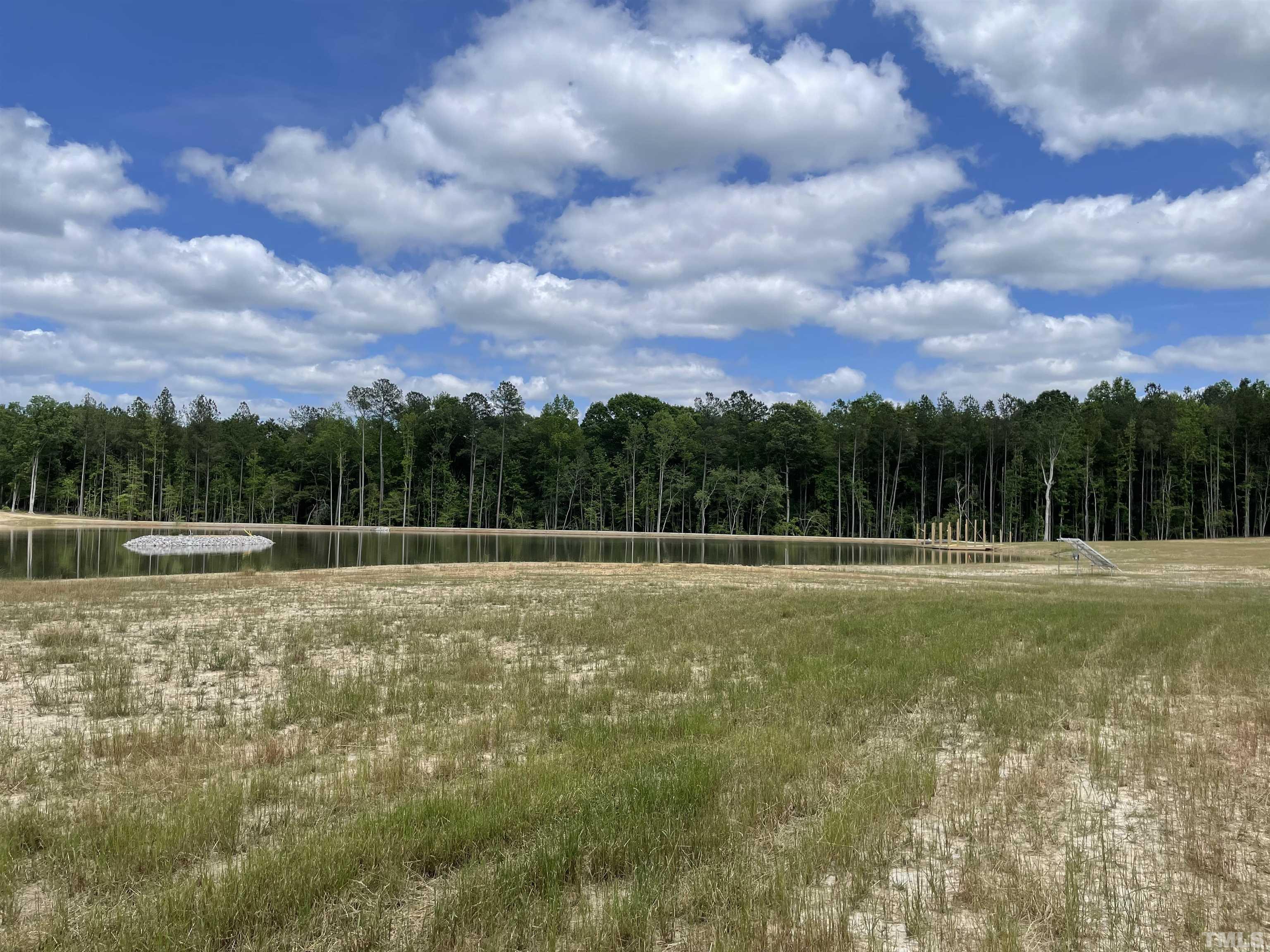 230 Bealy Farm Road Zebulon, NC 27597 - Photo 8 of 11 a view of a swimming pool with a yard