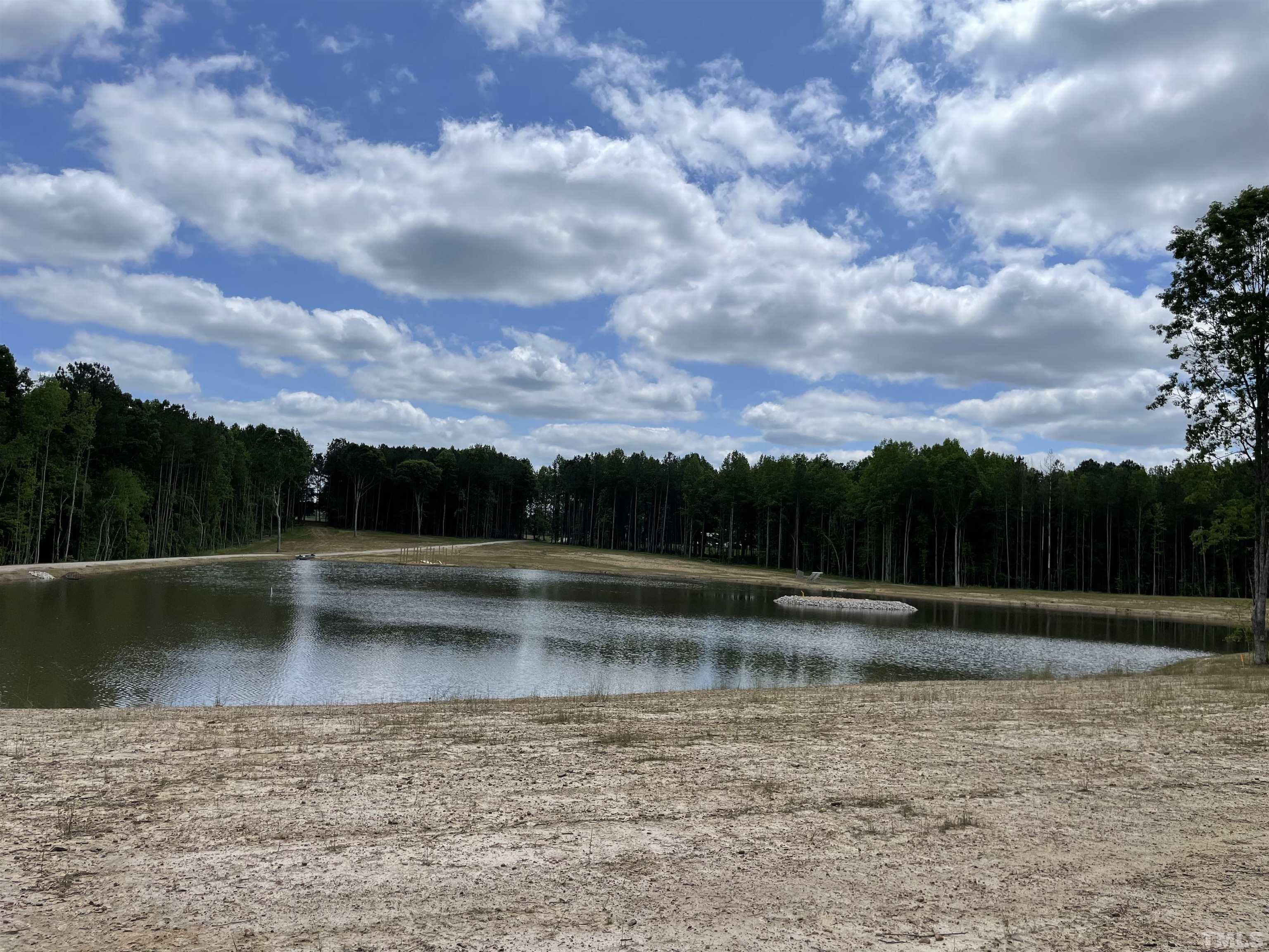 230 Bealy Farm Road Zebulon, NC 27597 - Photo 9 of 11 a view of swimming pool with a yard