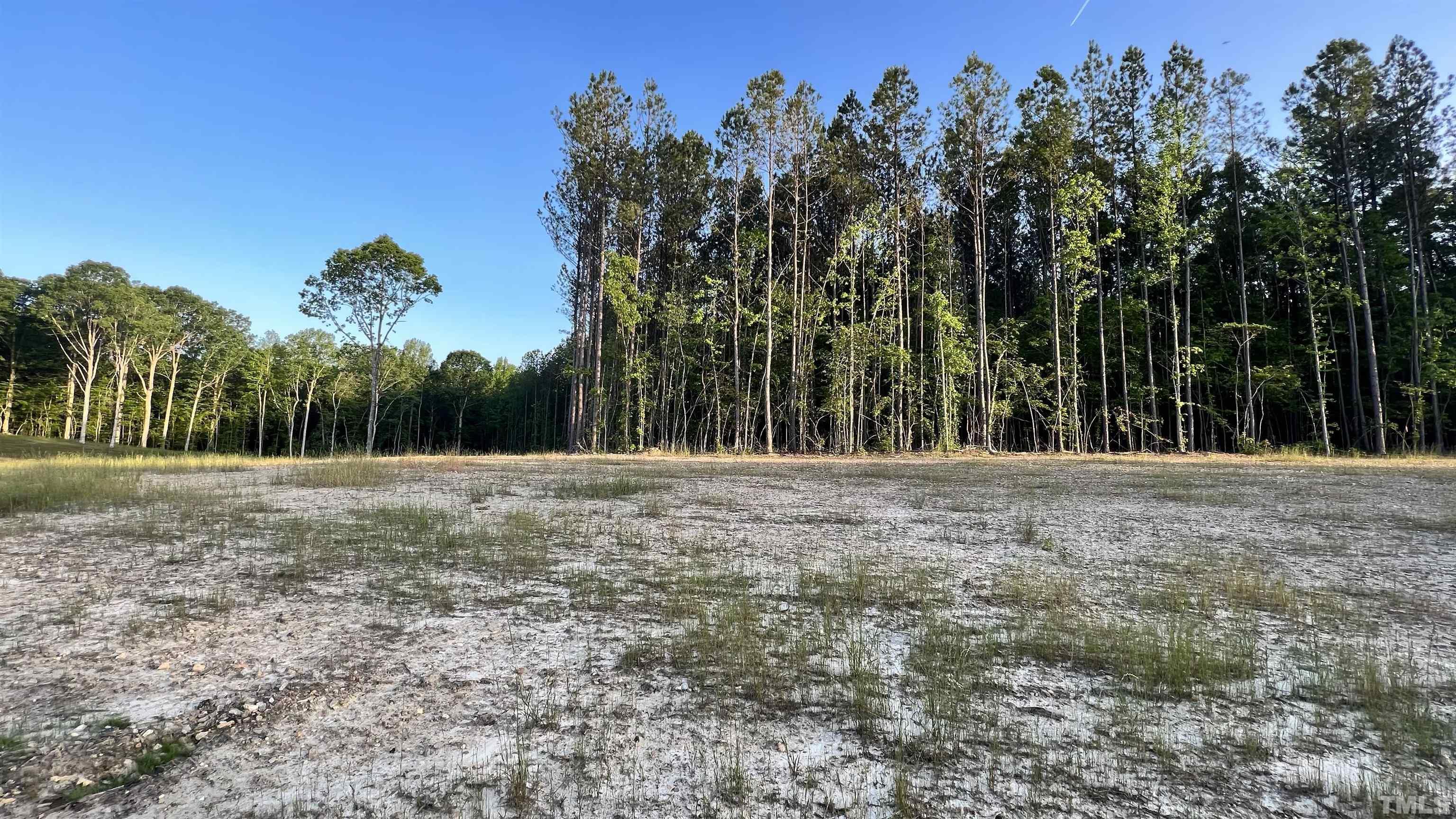 230 Bealy Farm Road Zebulon, NC 27597 - Photo 10 of 11 a view of outdoor space with trees