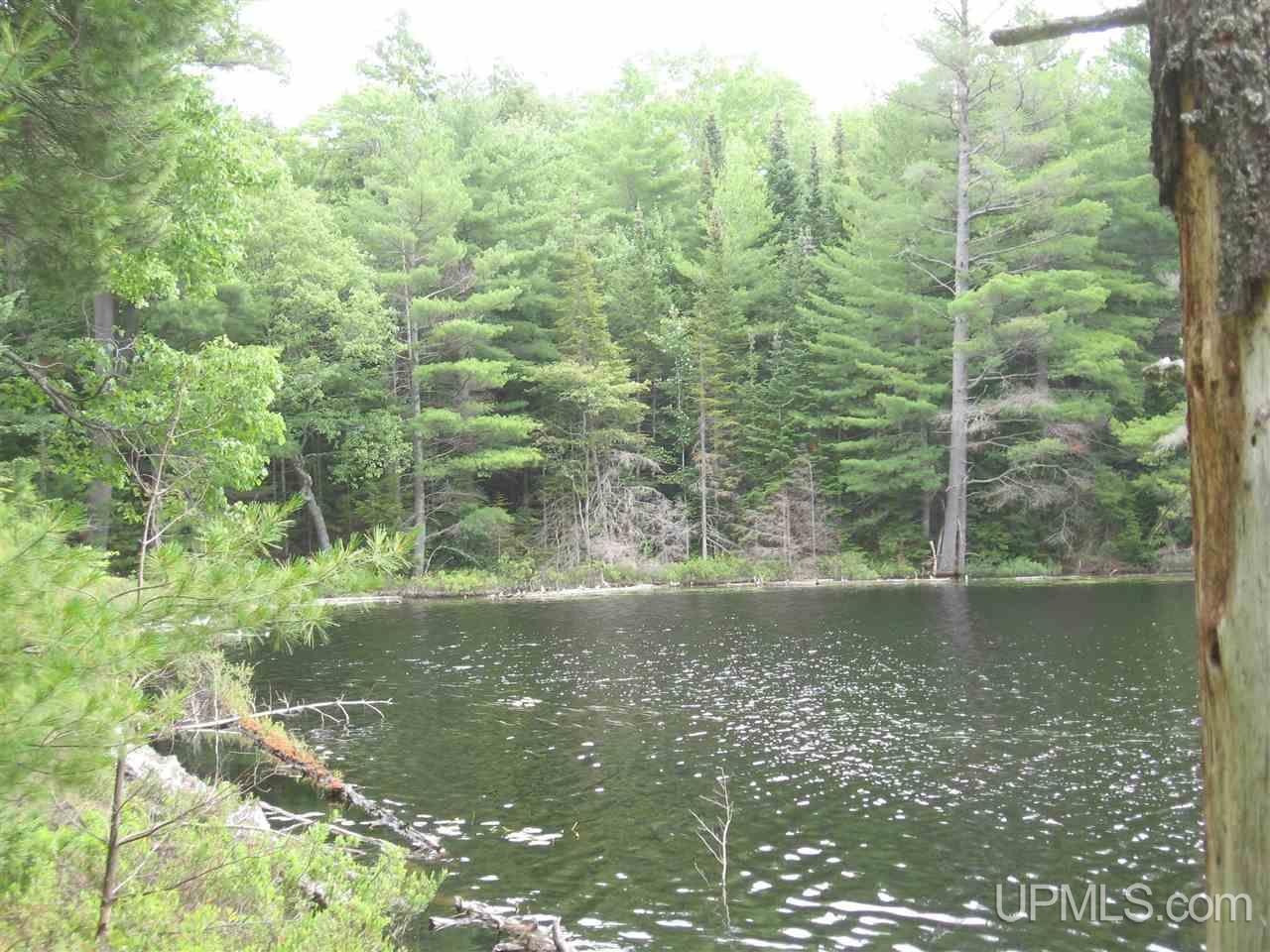 0 Rhody Cr, Unit CARTER LAKE RDP Seney, MI 49883 - Photo 26 of 36