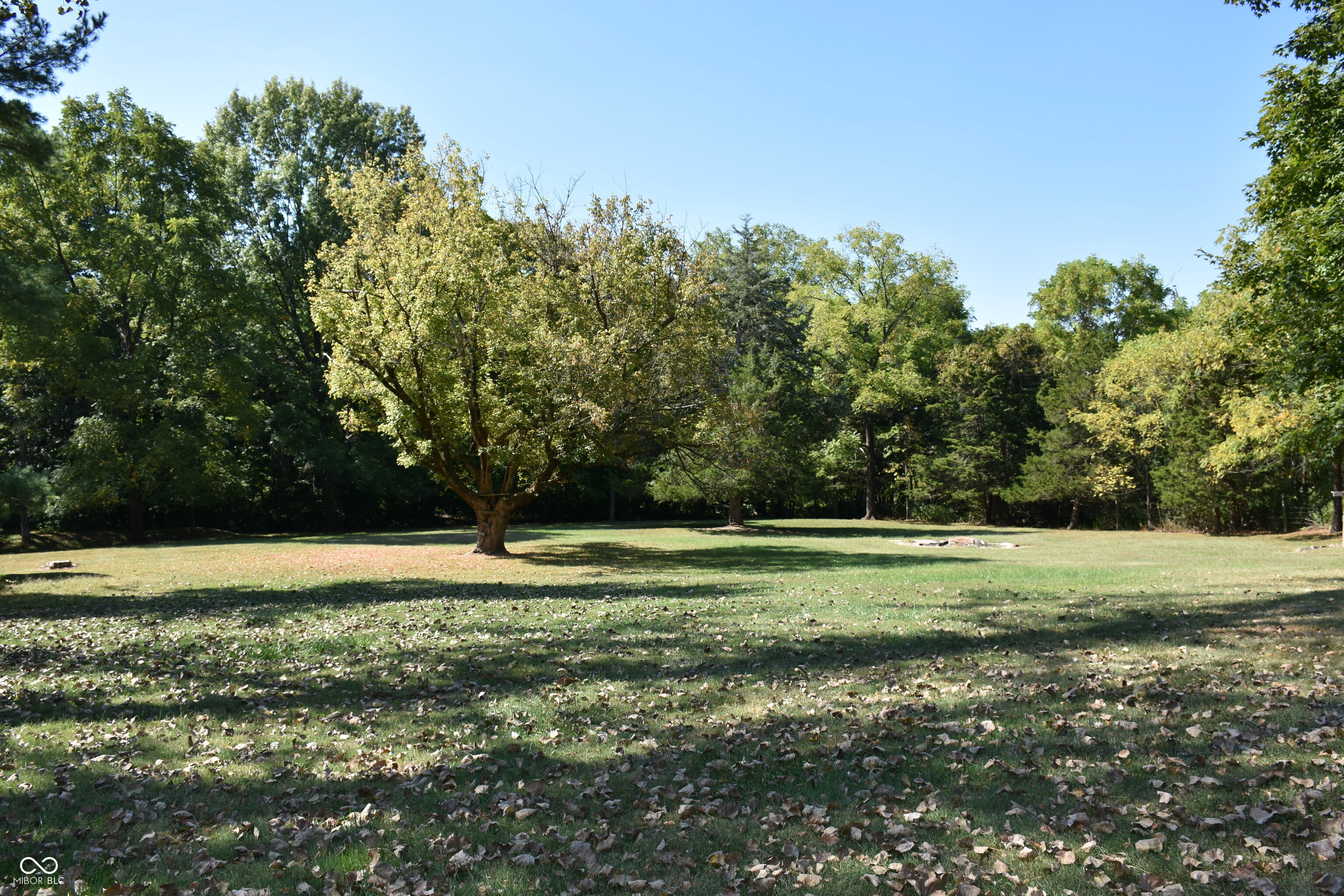 9677 West Reeves Road Spencer, IN 47460 - Photo 3 of 81