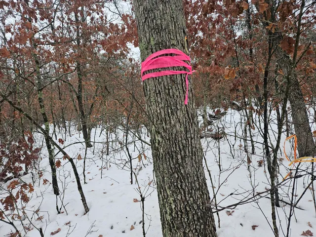 $9,900 | 10-13 West Oliver St Road, Baldwin, MI 49304