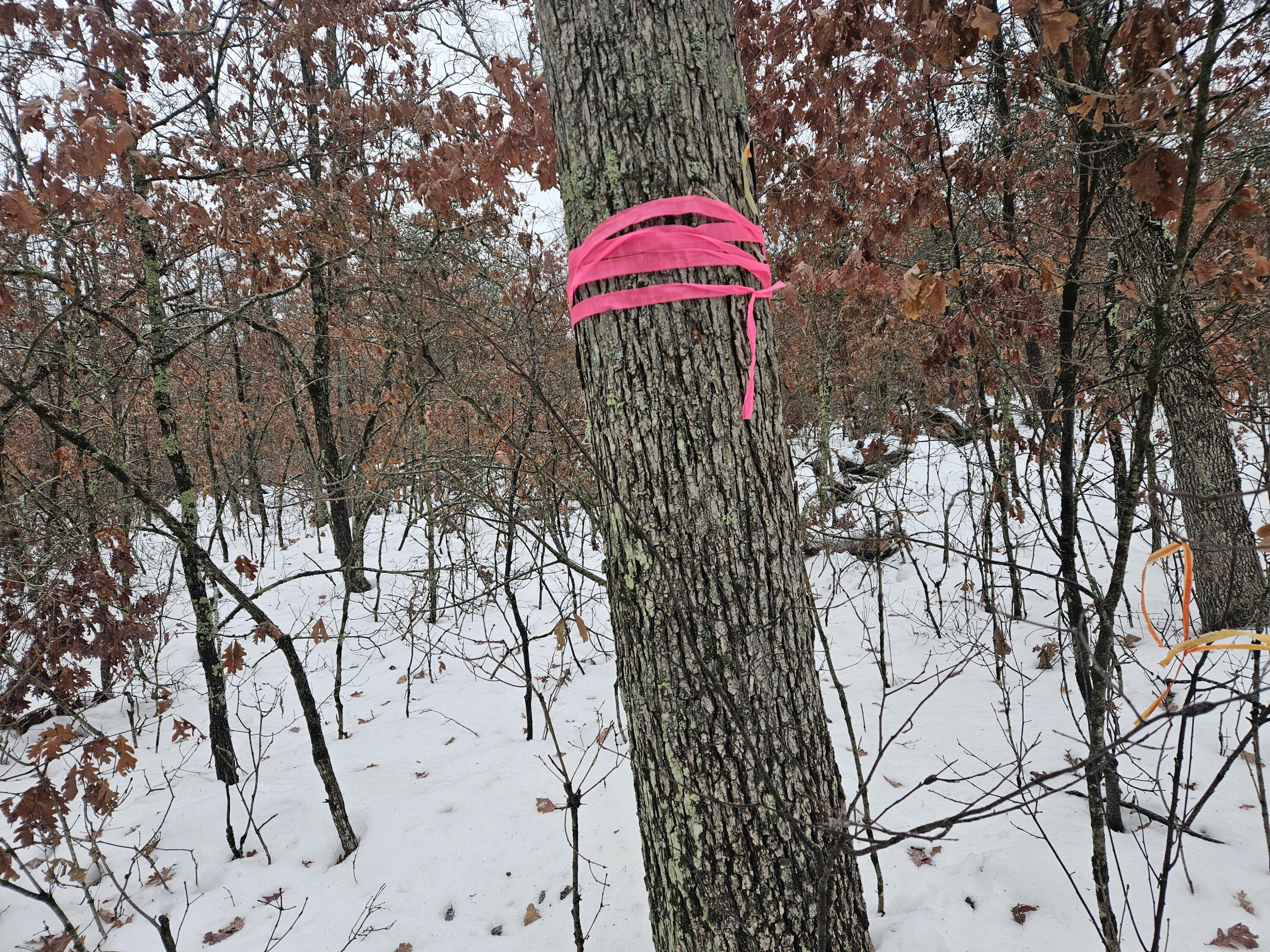 10-13 West Oliver St Road Baldwin, MI 49304 - Photo 11 of 12 20251227_102147