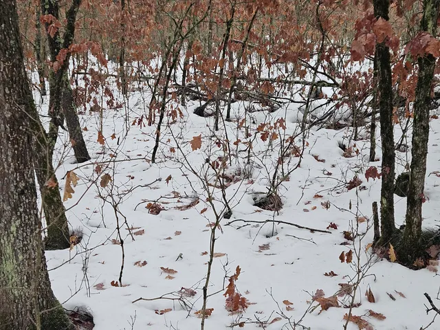 $9,900 | 10-13 West Oliver St Road, Baldwin, MI 49304