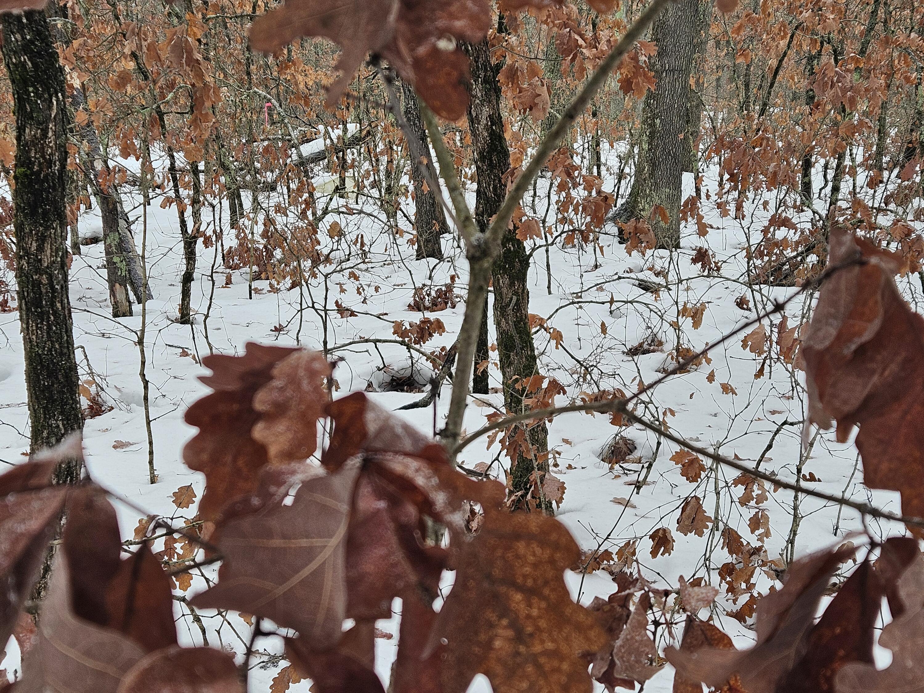 10-13 West Oliver St Road Baldwin, MI 49304 - Photo 3 of 12 20251227_102858