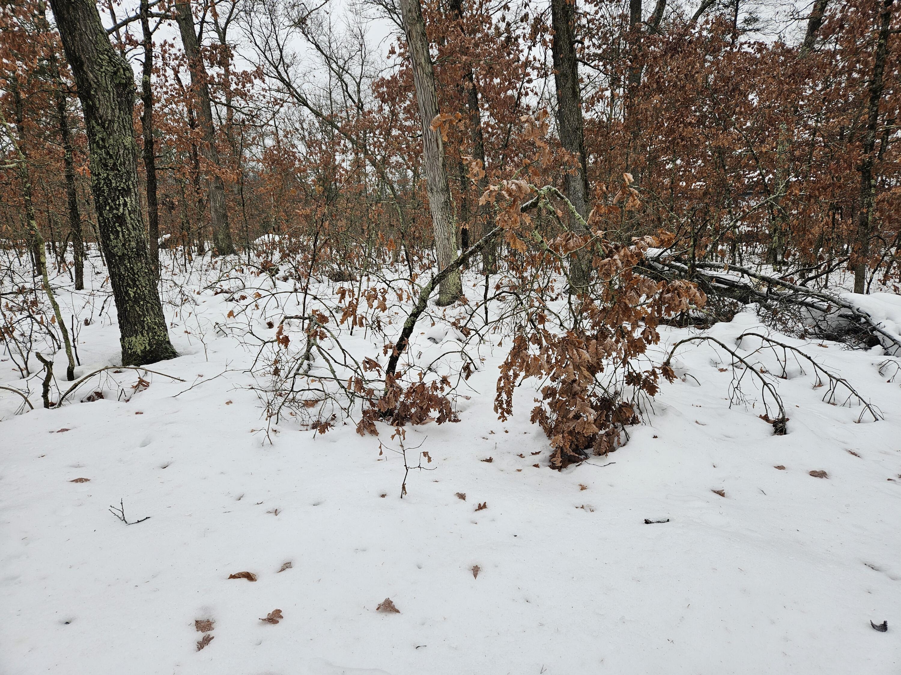 10-13 West Oliver St Road Baldwin, MI 49304 - Photo 4 of 12 20251227_103529