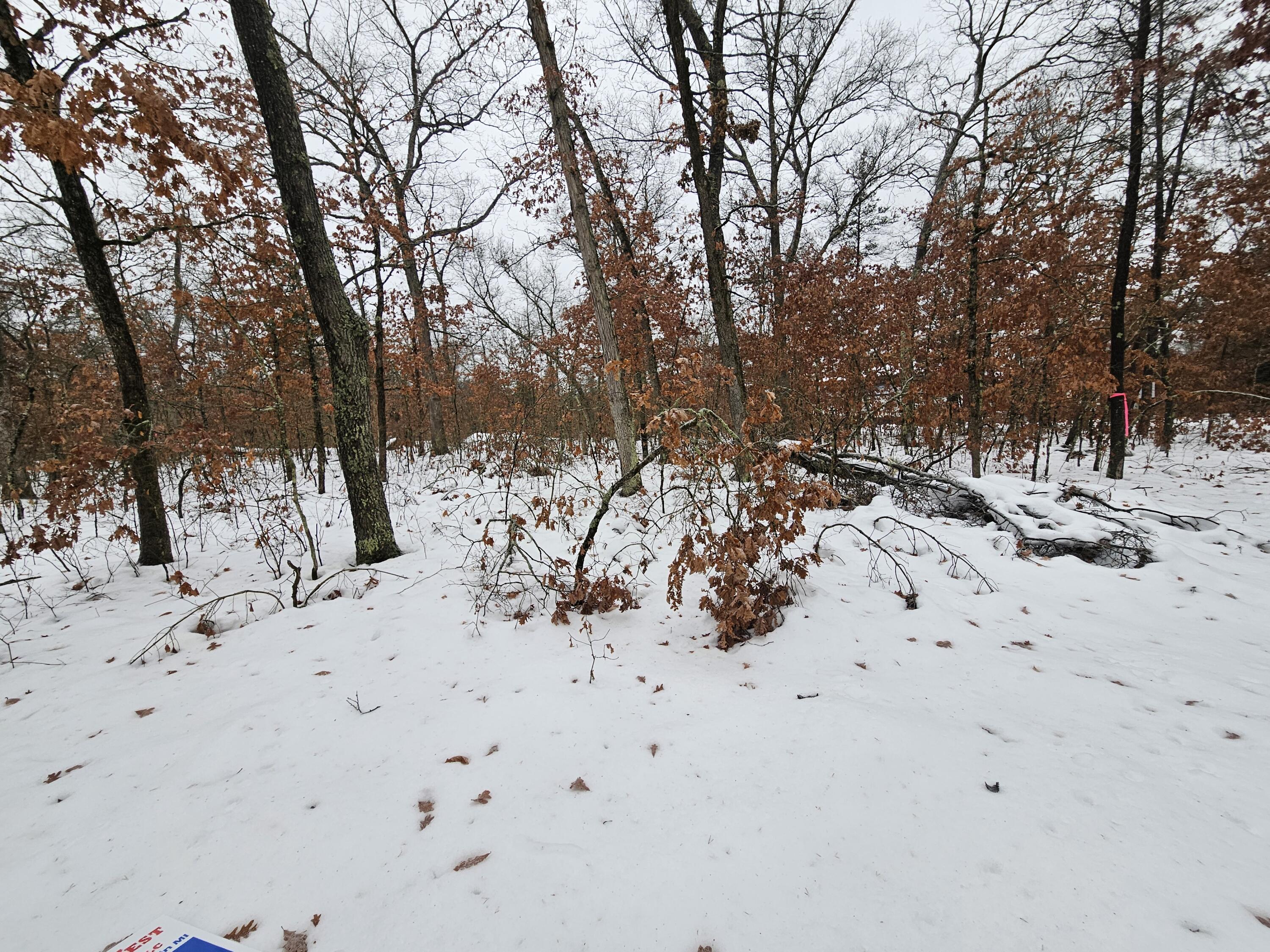 10-13 West Oliver St Road Baldwin, MI 49304 - Photo 5 of 12 20251227_103544