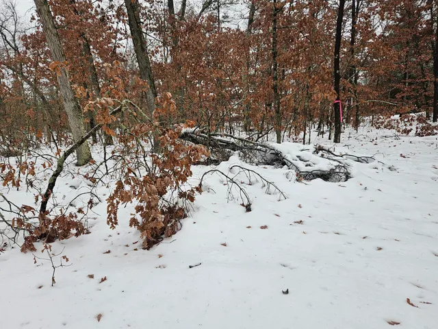 $9,900 | 10-13 West Oliver St Road, Baldwin, MI 49304