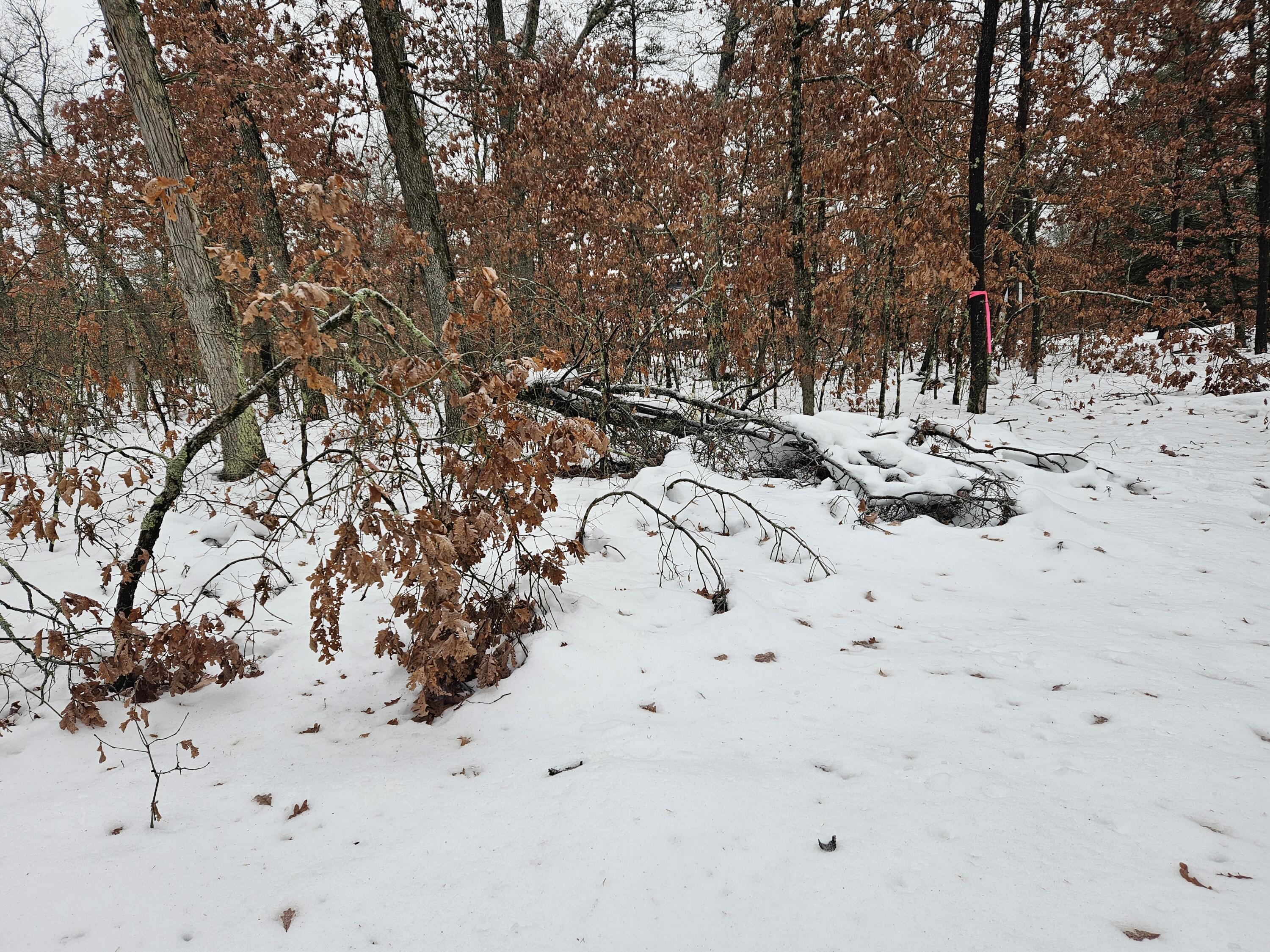 10-13 West Oliver St Road Baldwin, MI 49304 - Photo 6 of 12 20251227_103556