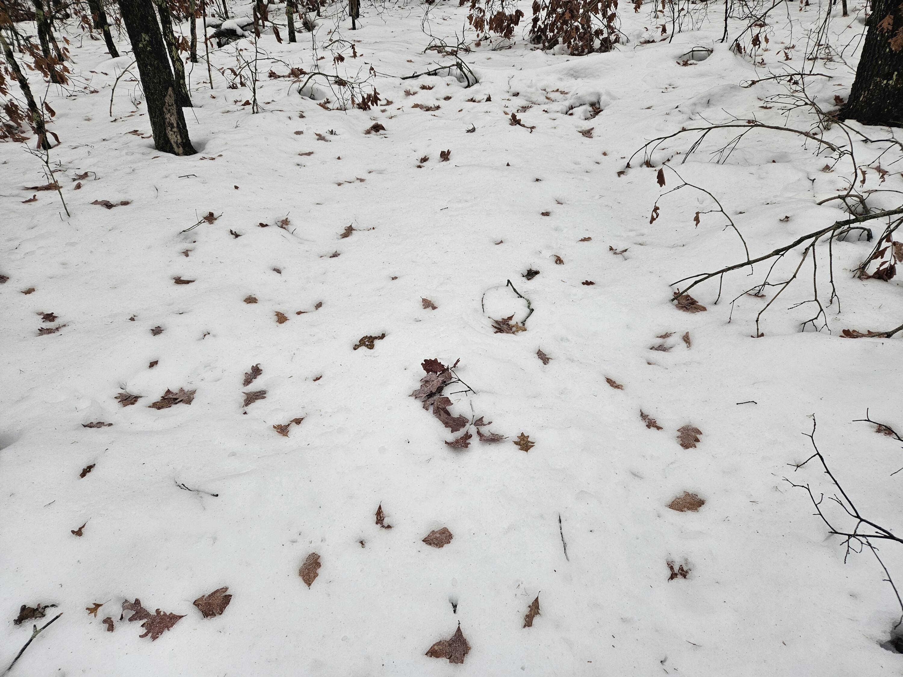 10-13 West Oliver St Road Baldwin, MI 49304 - Photo 7 of 12 20251227_102530