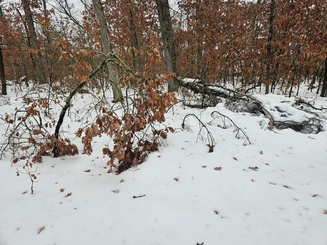 $9,900 | 10-13 West Oliver St Road, Baldwin, MI 49304