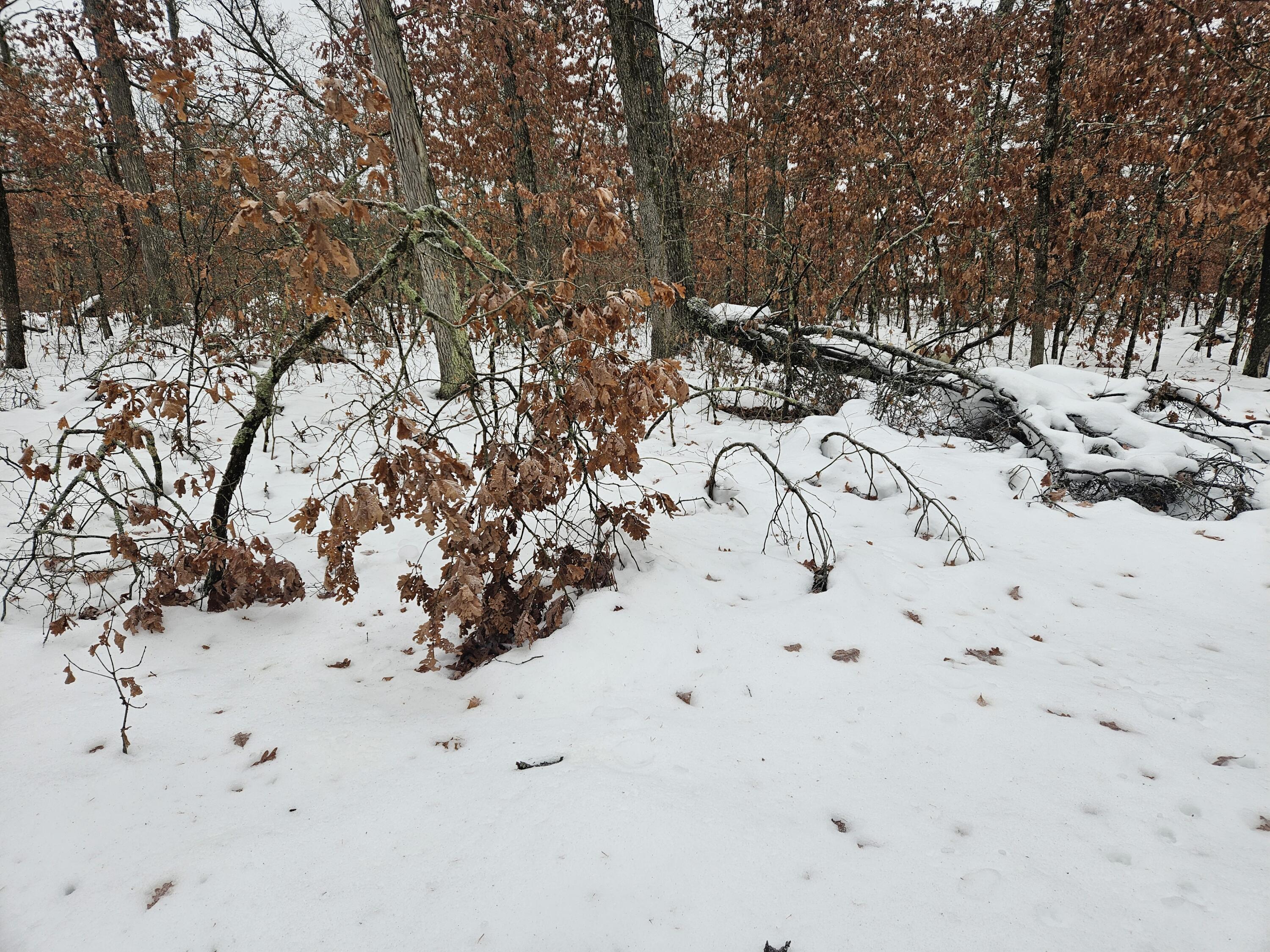 10-13 West Oliver St Road Baldwin, MI 49304 - Photo 8 of 12 20251227_102515