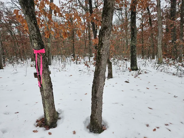 $9,900 | 10-13 West Oliver St Road, Baldwin, MI 49304