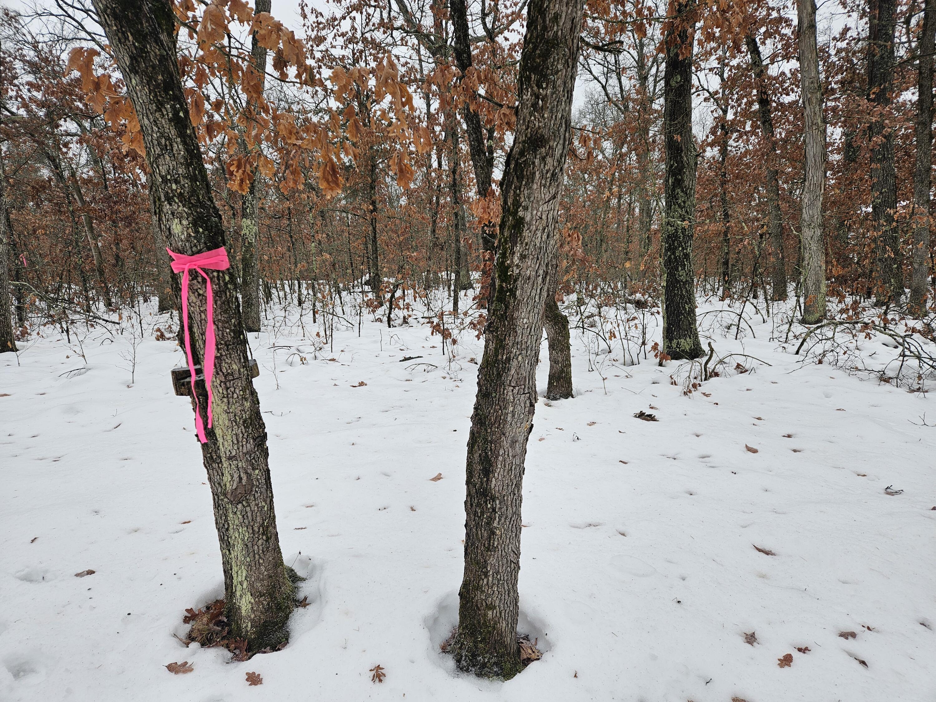 10-13 West Oliver St Road Baldwin, MI 49304 - Photo 9 of 12 20251227_102455