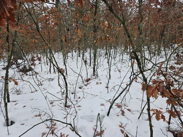 $9,900 | 10-13 West Oliver St Road, Baldwin, MI 49304