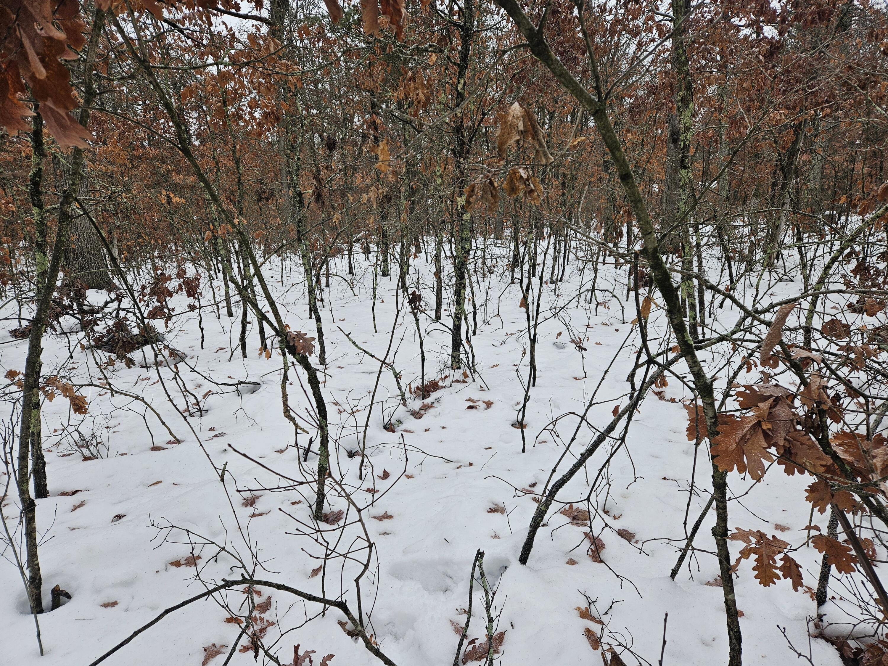 10-13 West Oliver St Road Baldwin, MI 49304 - Photo 10 of 12 20251227_102153