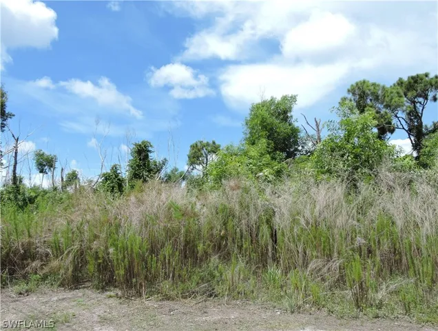 a view of a bunch of trees
