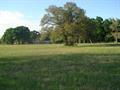 4929 Gilmore Road, Unit 6 Holt, FL 32564 - Photo 2 of 29