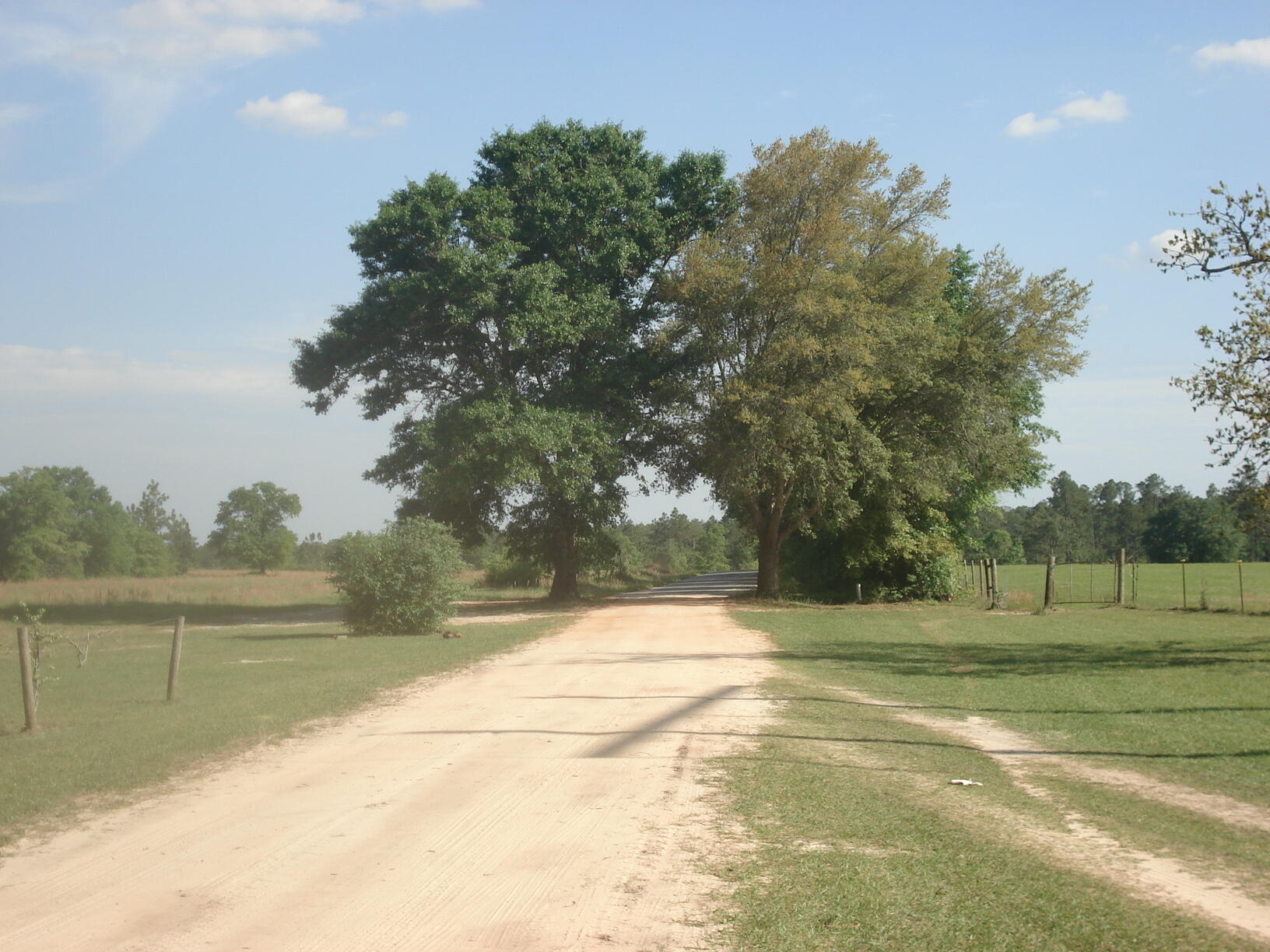 4929 Gilmore Road, Unit 6 Holt, FL 32564 - Photo 22 of 29