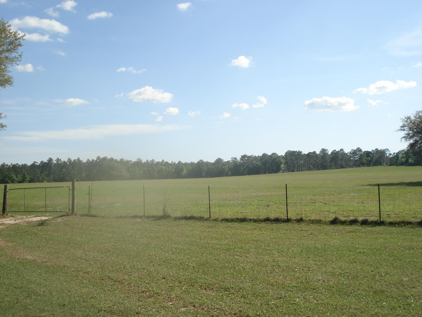 4929 Gilmore Road, Unit 6 Holt, FL 32564 - Photo 26 of 29