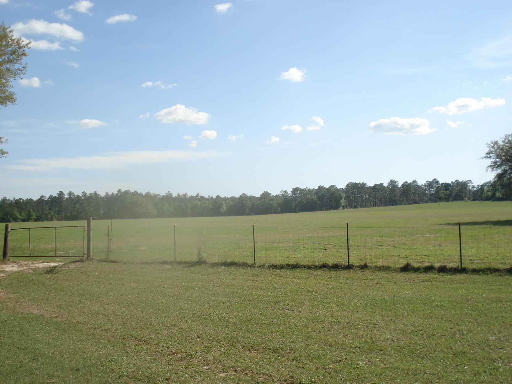 4929 Gilmore Road, Unit 6 Holt, FL 32564 - Photo 27 of 29