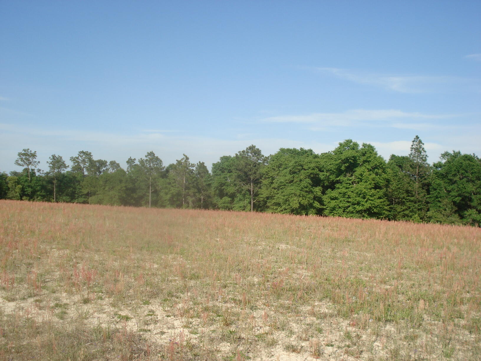 4929 Gilmore Road, Unit 6 Holt, FL 32564 - Photo 28 of 29