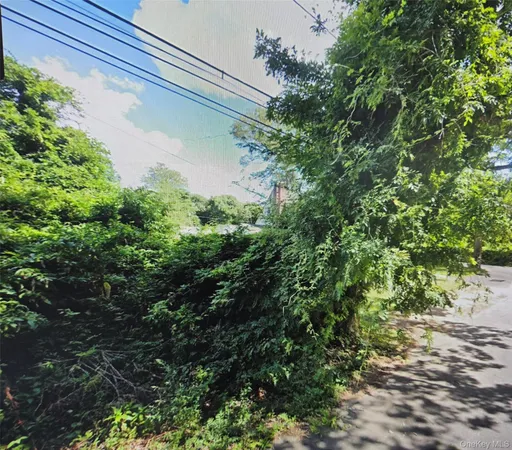 a close up of a plant