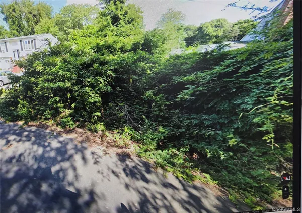 a view of a garden with plants