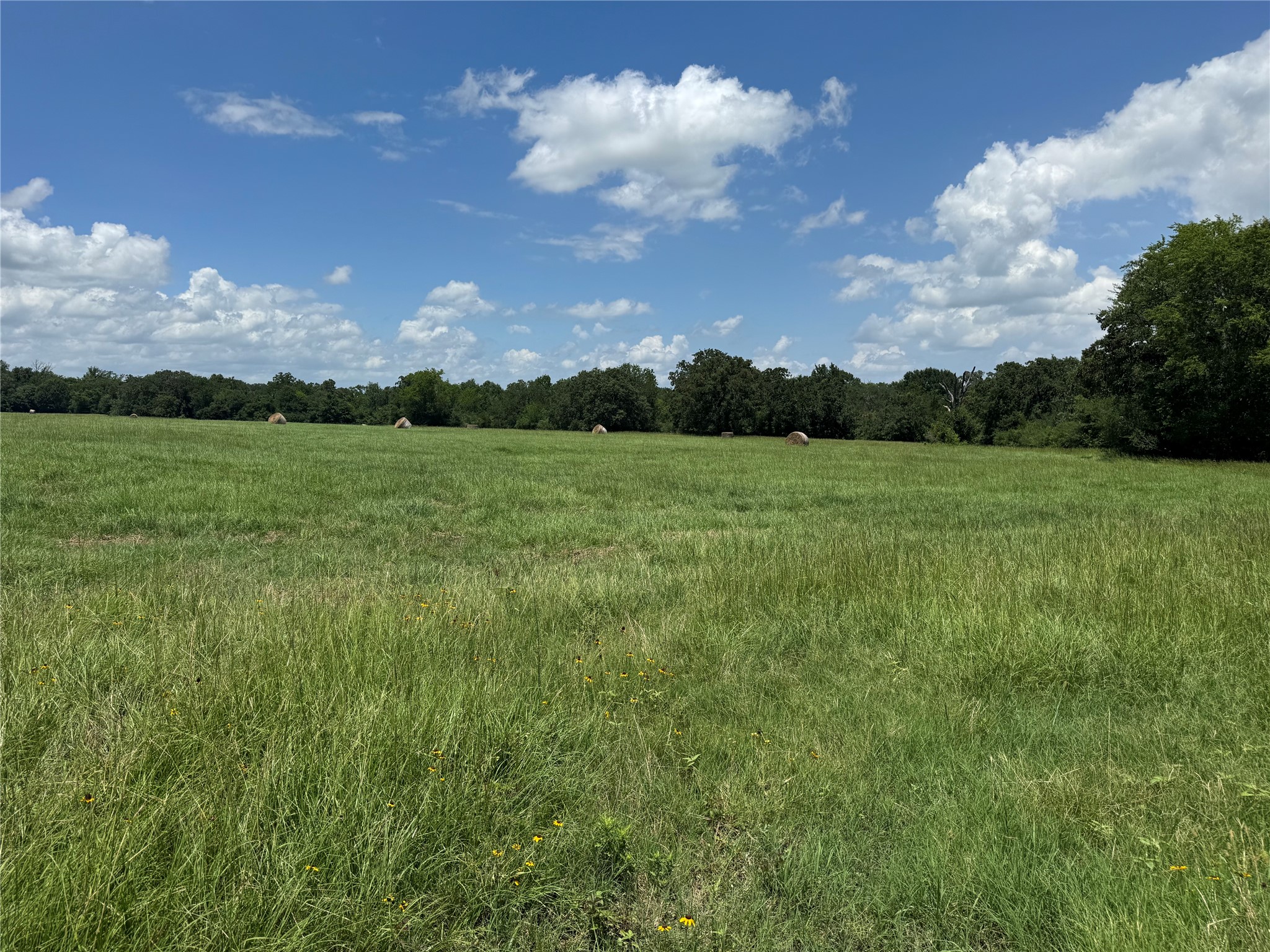 Tbd 18-ac Tbd 18-ac Baker Ridge Road Midway, TX 75852 - Photo 37 of 43