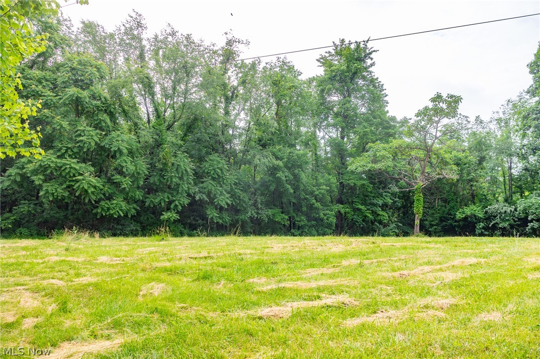 74333 Irish Ridge Road Kimbolton, OH 43749 - Photo 13 of 19