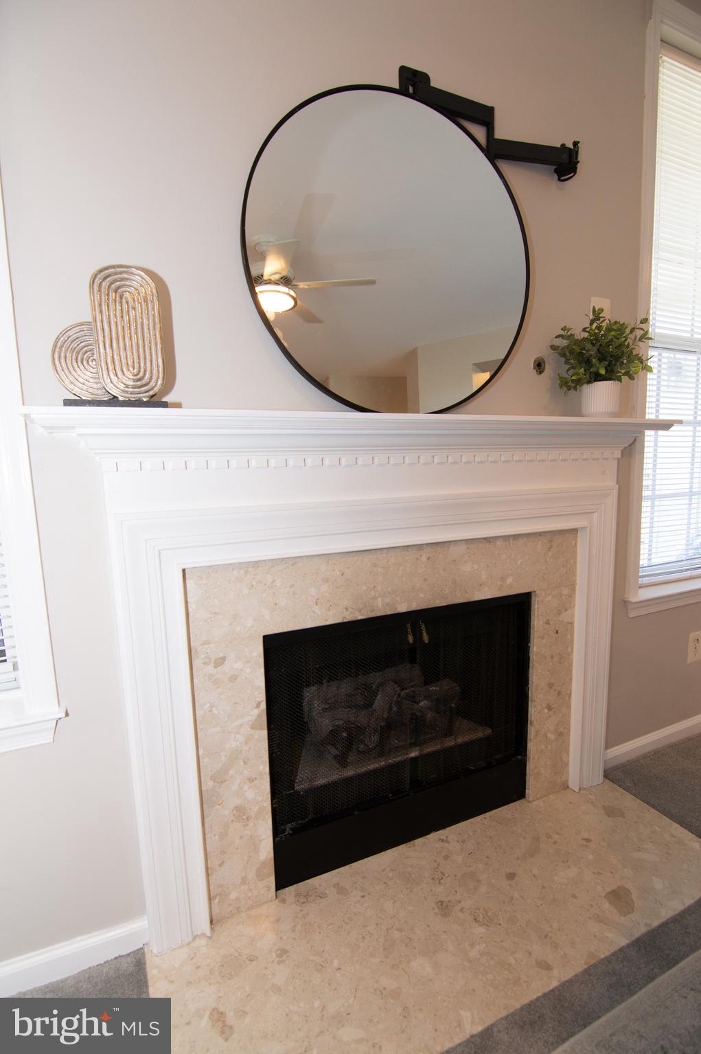 11304 Sundial Court, Unit C 910 Reston, VA 20194 - Photo 11 of 45 Gas Fireplace