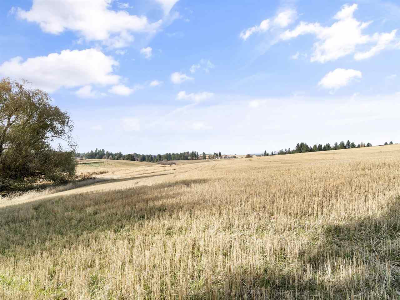 Xxxxx North Morrison Road Spokane, WA 99217 - Photo 12 of 13