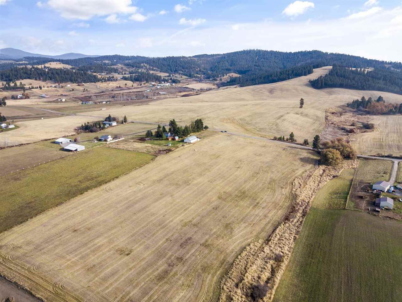 Xxxxx North Morrison Road Spokane, WA 99217 - Photo 3 of 13
