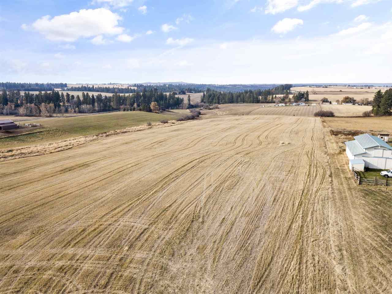 Xxxxx North Morrison Road Spokane, WA 99217 - Photo 4 of 13
