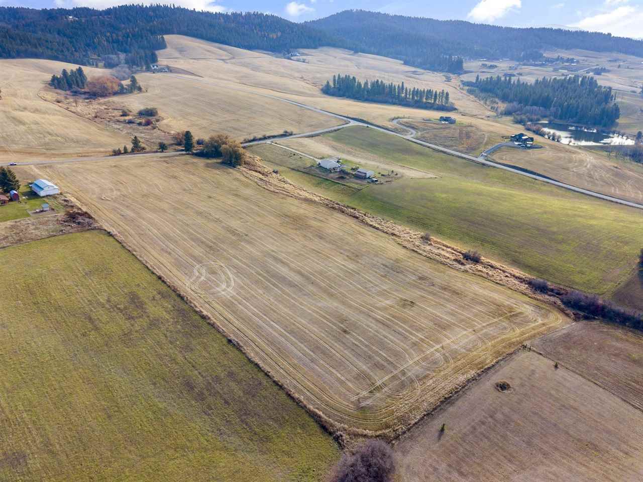 Xxxxx North Morrison Road Spokane, WA 99217 - Photo 5 of 13
