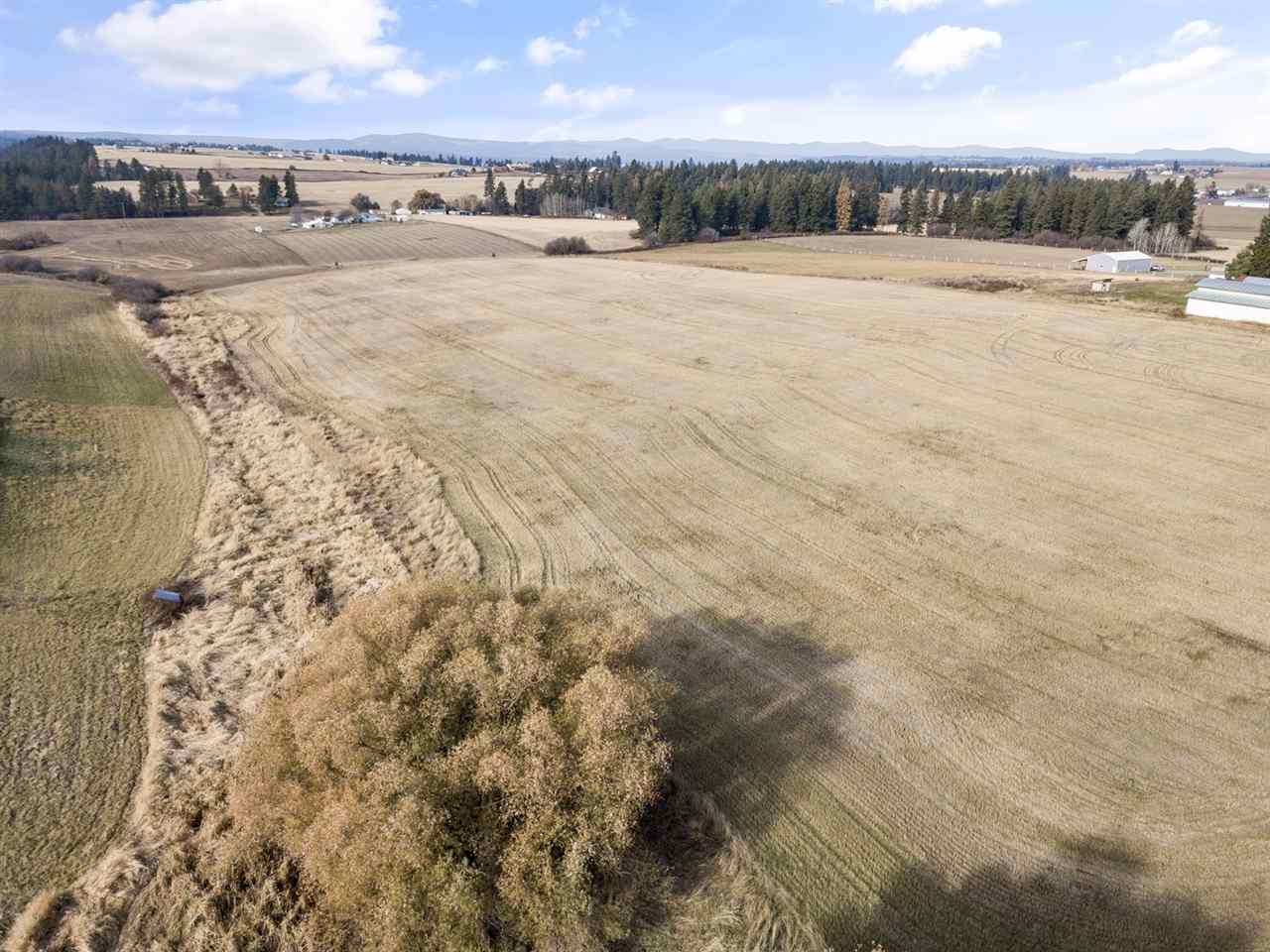 Xxxxx North Morrison Road Spokane, WA 99217 - Photo 6 of 13