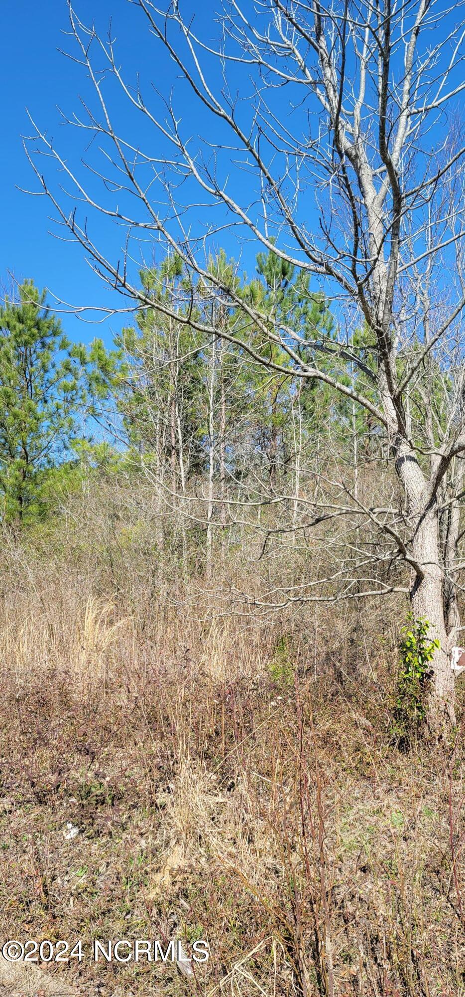 9170 County Line Road Rocky Mount, NC 27803 - Photo 2 of 3 9170 County Line pic