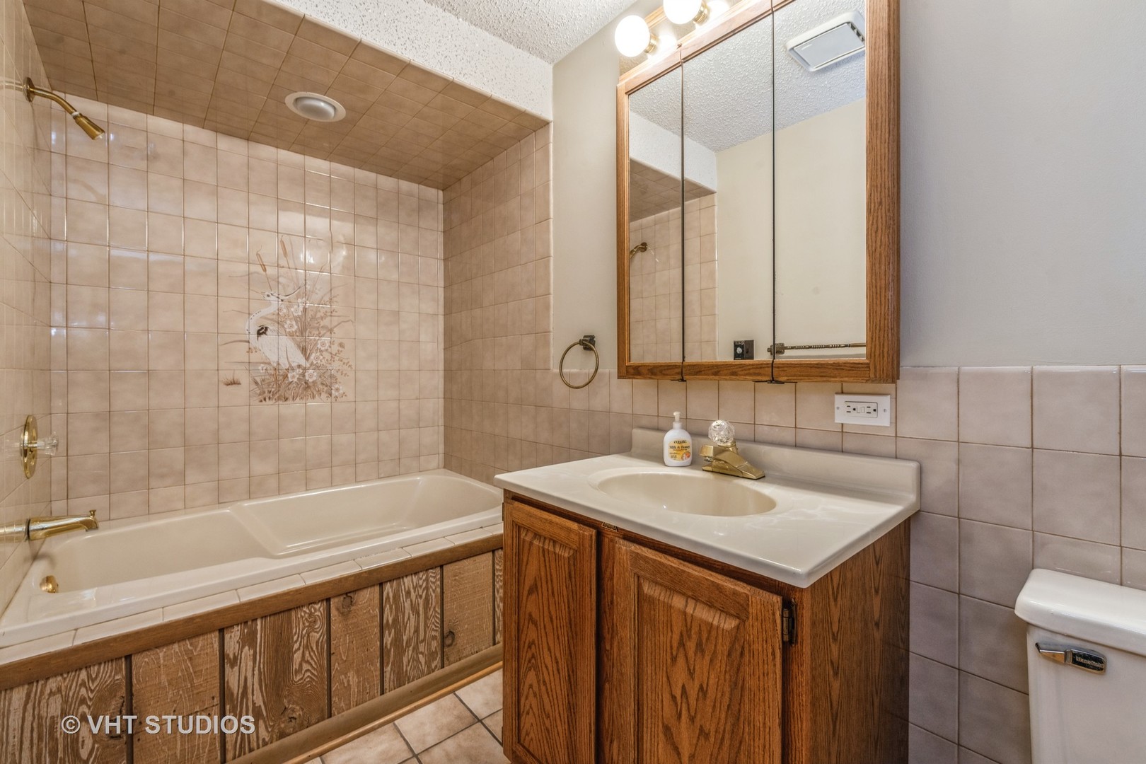2339 Old Hicks Road Long Grove, IL 60047 - Photo 24 of 27 a bathroom with a sink and a bathtub