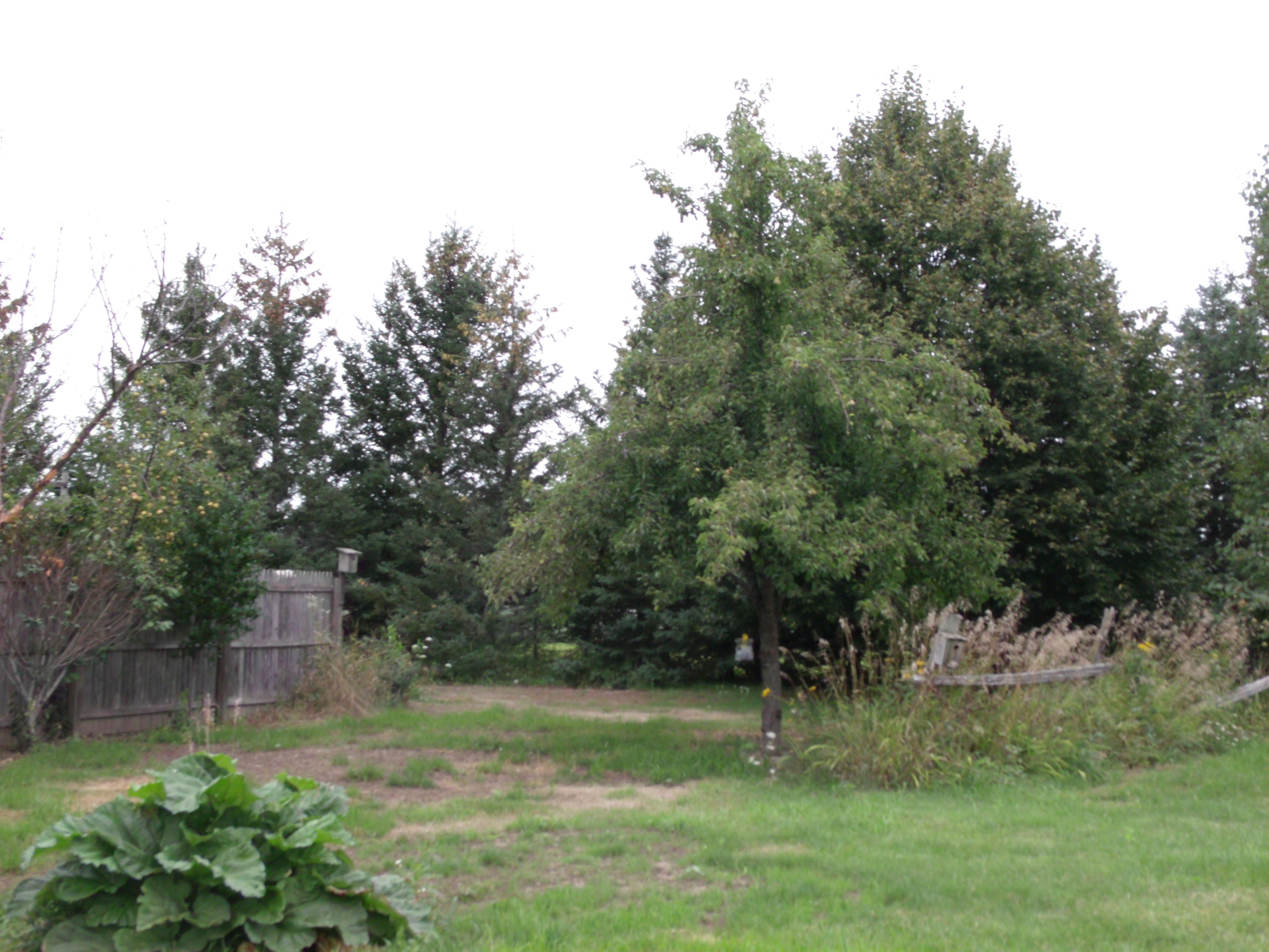 14742 Alfalfa Road Lachine, MI 49753 - Photo 3 of 15 Gallery Image 3