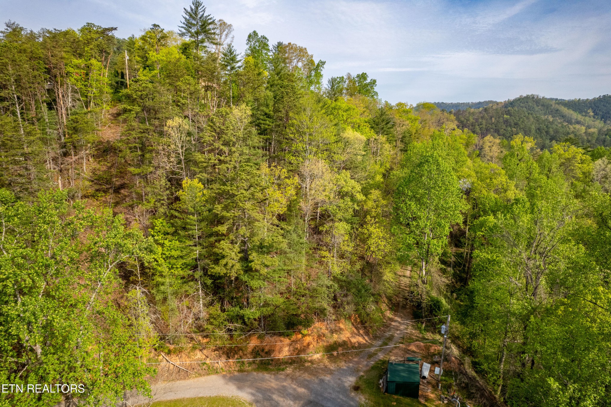 240 Mt Luke Road Townsend, TN 37882 - Photo 9 of 24 Gallery Image 9