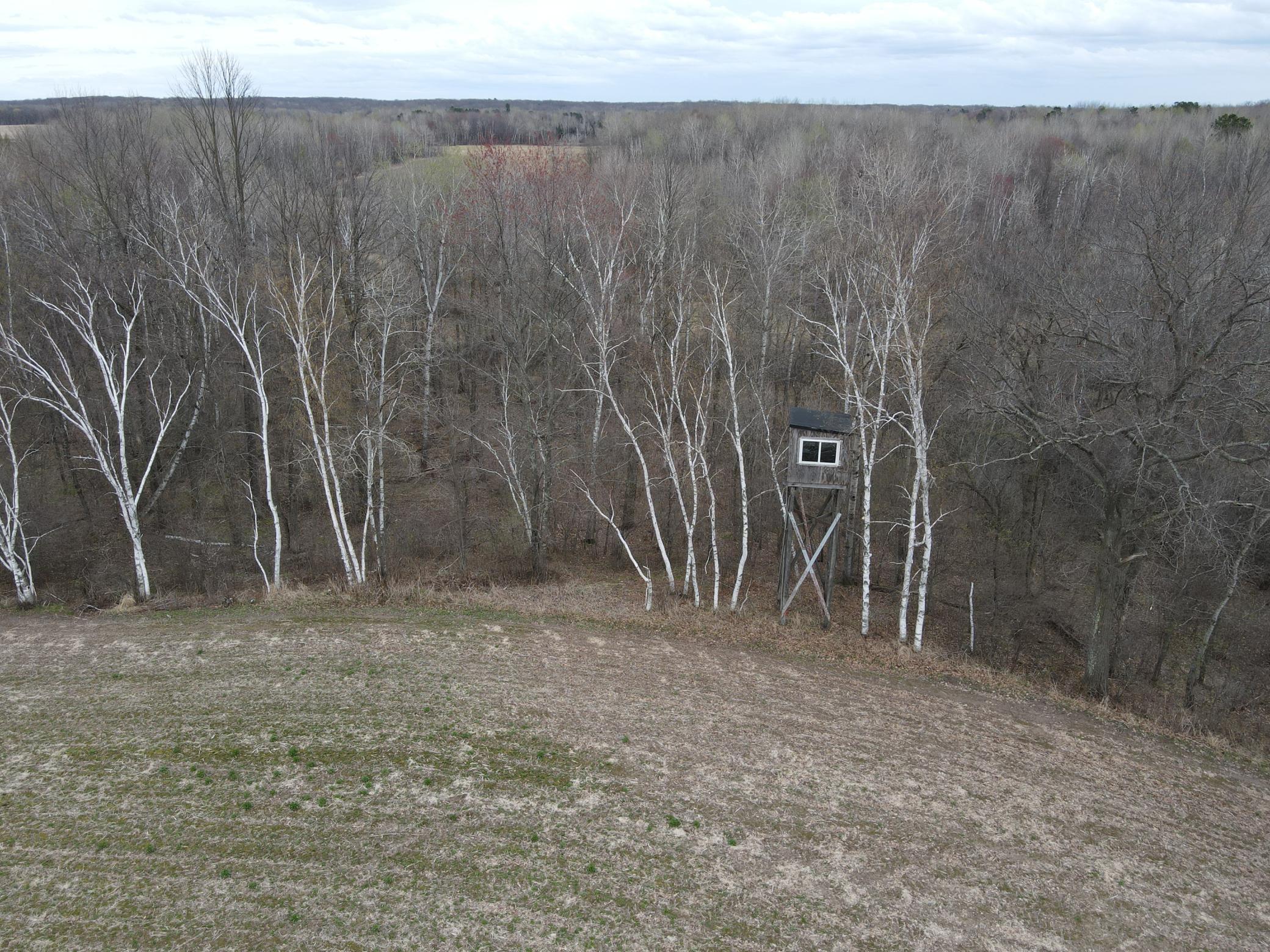Tbd Silo Road Sarona, WI 54870 - Photo 9 of 22