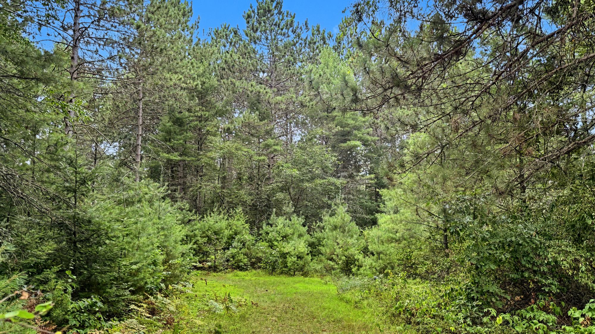 W6892 Mohawksin Road Tomahawk, WI 54487 - Photo 54 of 75 Gallery Image 54