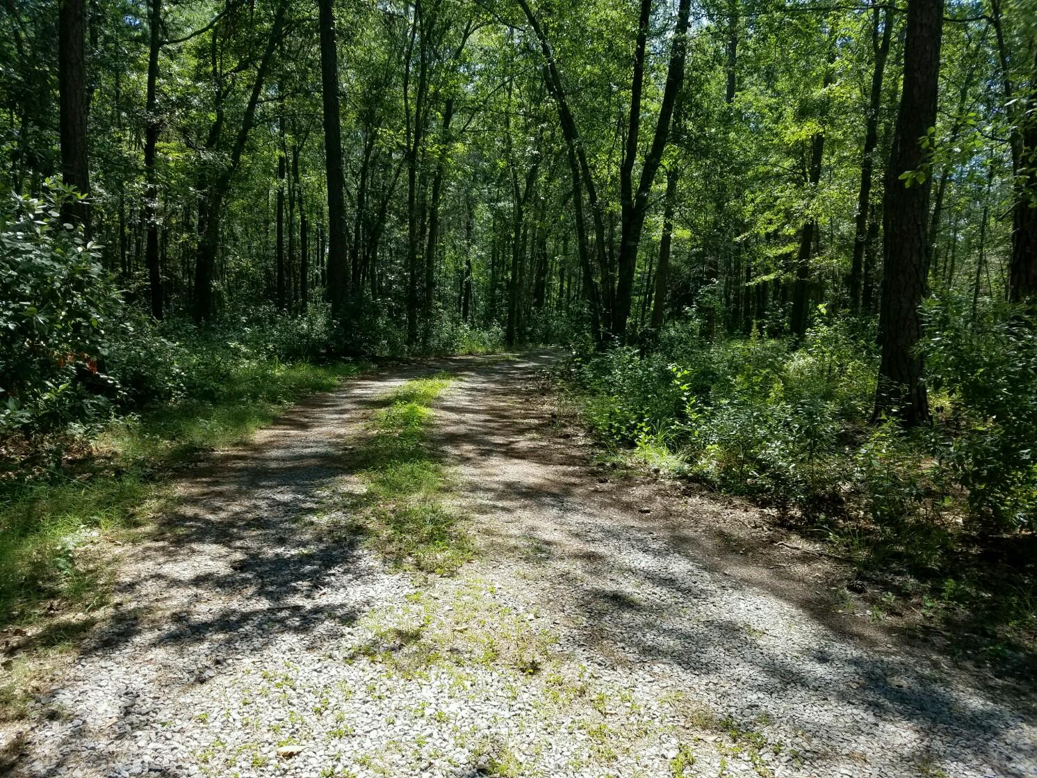 3328 Cane Branch Road Walterboro, SC 29488 - Photo 32 of 32 20160715_113317