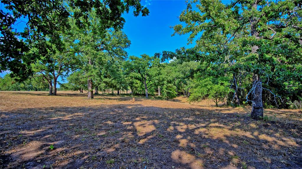 384 Red Oak Hills Road Nocona, TX 76255 - Photo 6 of 31 Gallery Image 6