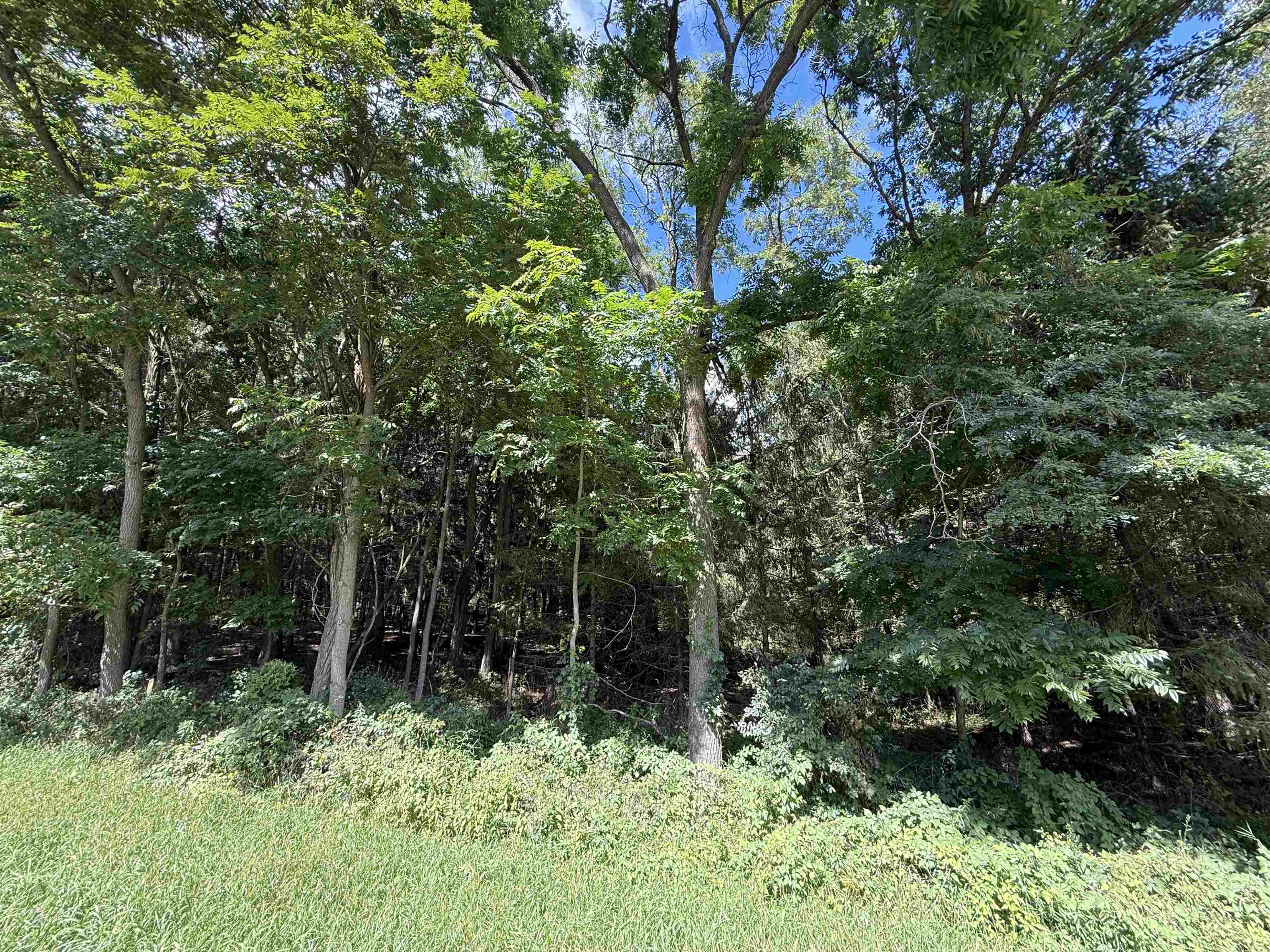 7.75-acres County Rd G Oxford, WI 53952 - Photo 8 of 9