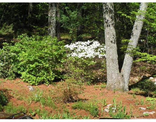 299 Belknap Road Framingham, MA 01701 - Photo 11 of 16 Gallery Image 11