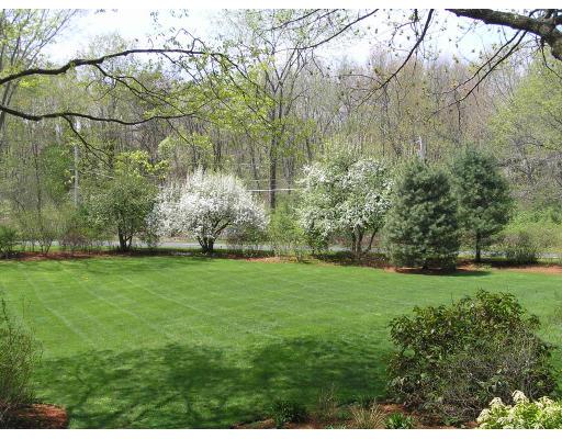 299 Belknap Road Framingham, MA 01701 - Photo 4 of 16 Gallery Image 4