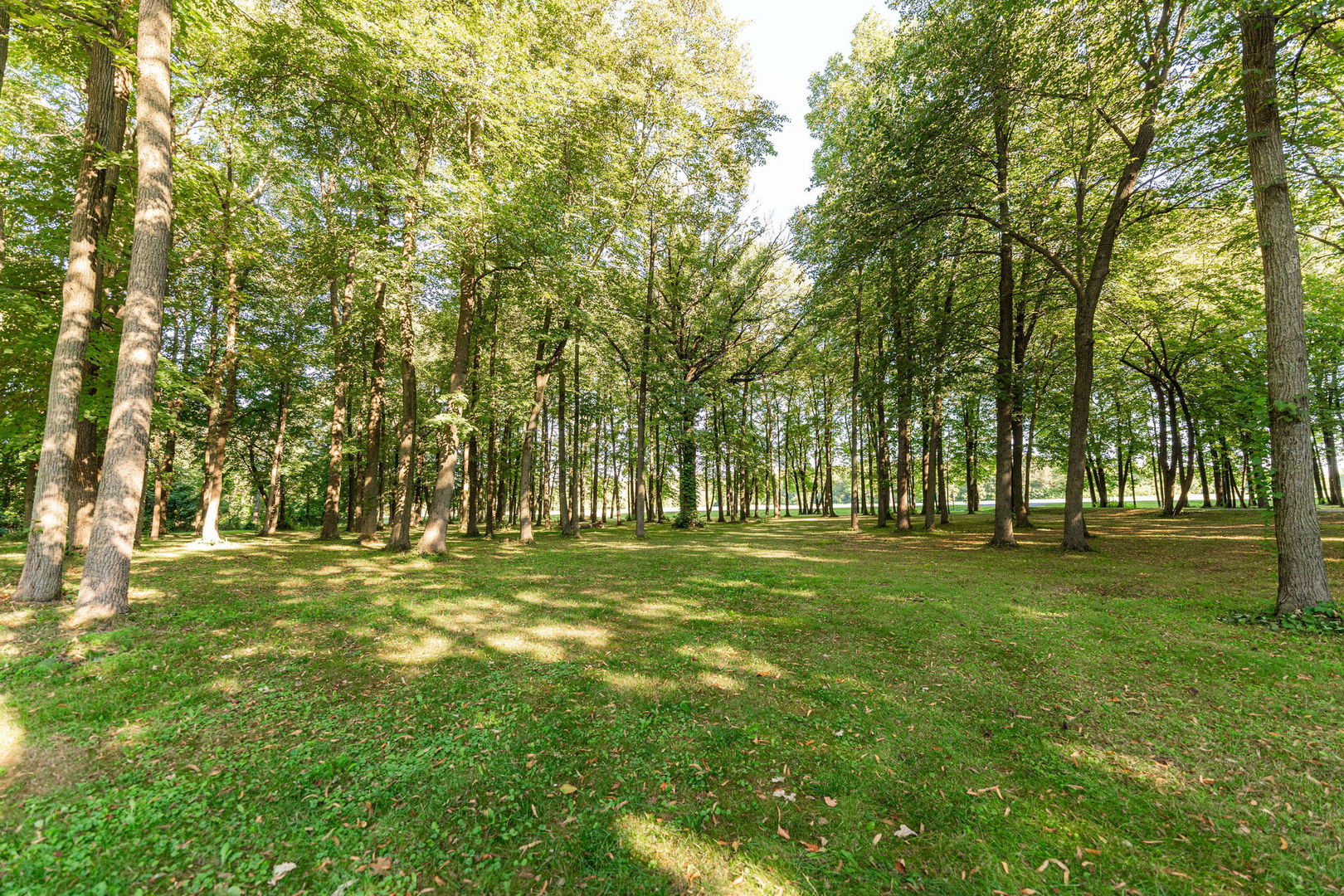 4060 Old State Road Kirkland, IL 60146 - Photo 50 of 51 a big yard with trees