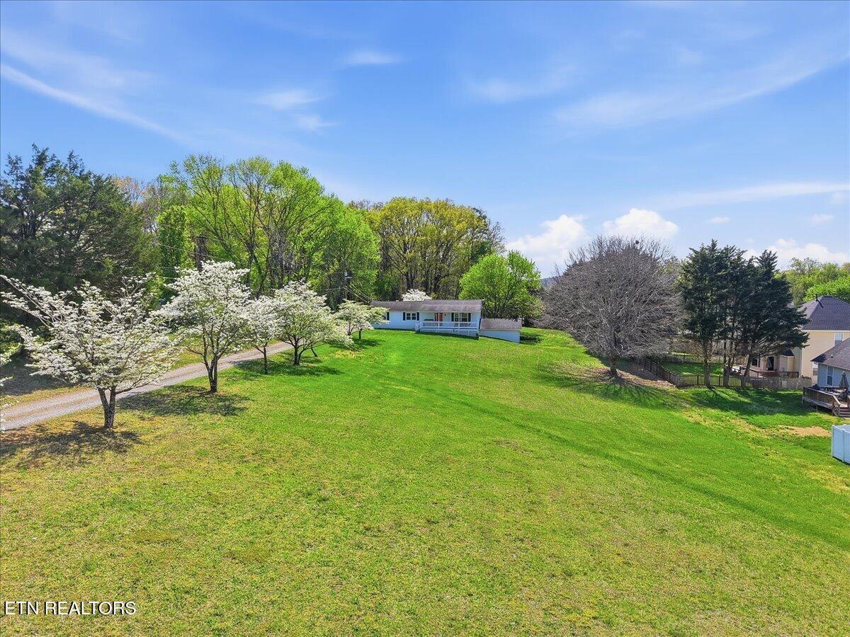 7709 Morris Road Knoxville, TN 37938 - Photo 42 of 52 a garden with trees in the background