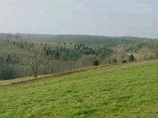 200 Hamilton Road Brooksville, KY 41004 - Photo 4 of 4 Gallery Image 4
